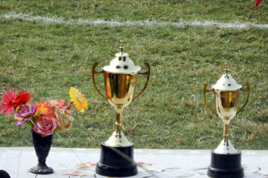 Inter College Cricket Tournament 2015-16